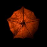 Mini Pumpkin Silicone Night Light: A Cozy Addition to Your Home