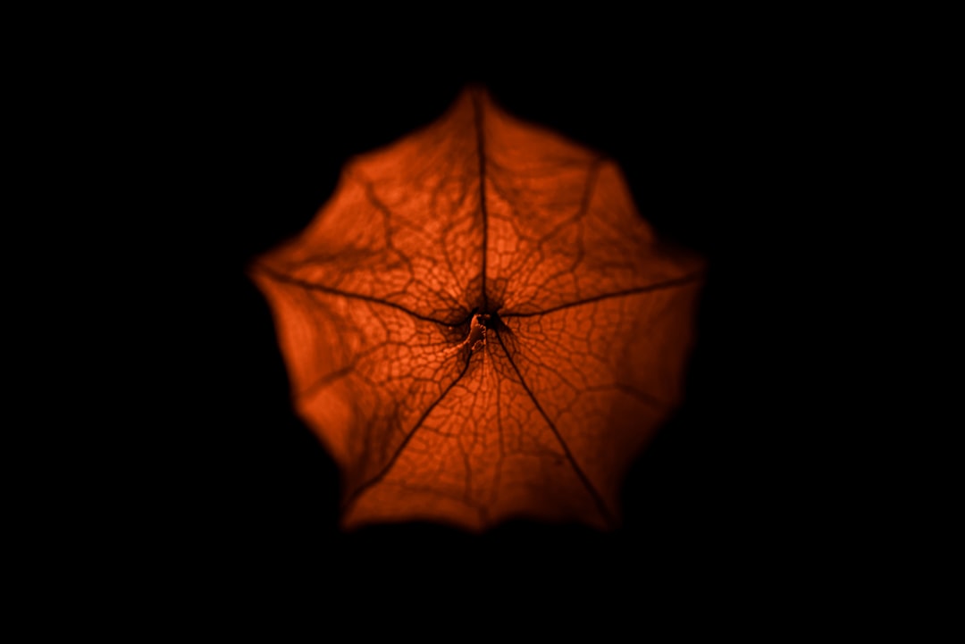 Photo Pumpkin Silicone Night Light