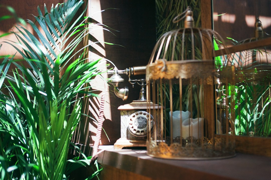 Photo fluted outdoor lantern makeup station decor
